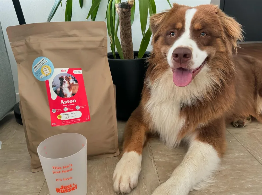 Roter Australian Shepherd neben Just-Russel-Verpackung und Messbecher